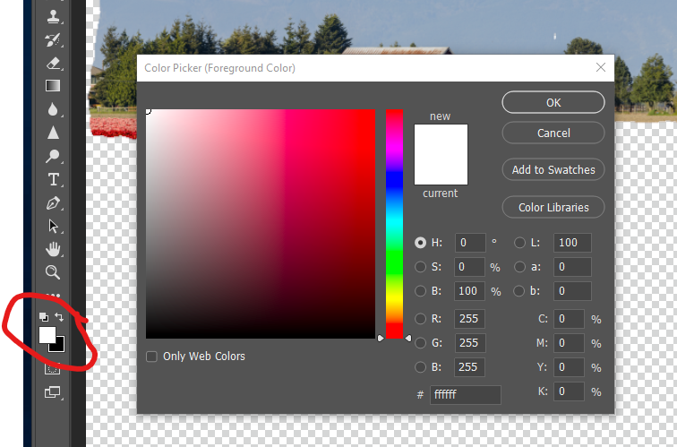 Toggle the color of the Brush tool between black (to hide) and white (to reveal) layer contents.