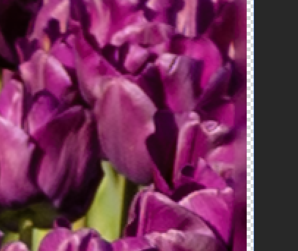 Transparent edges and blending artifacts need to be cropped from the edges on the image.