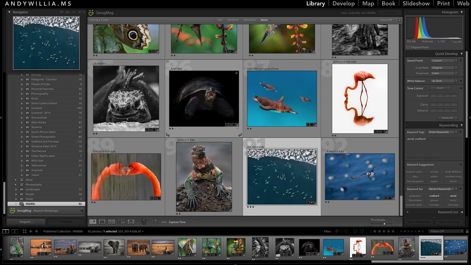 muench-workshops-lightroom-class.jpg