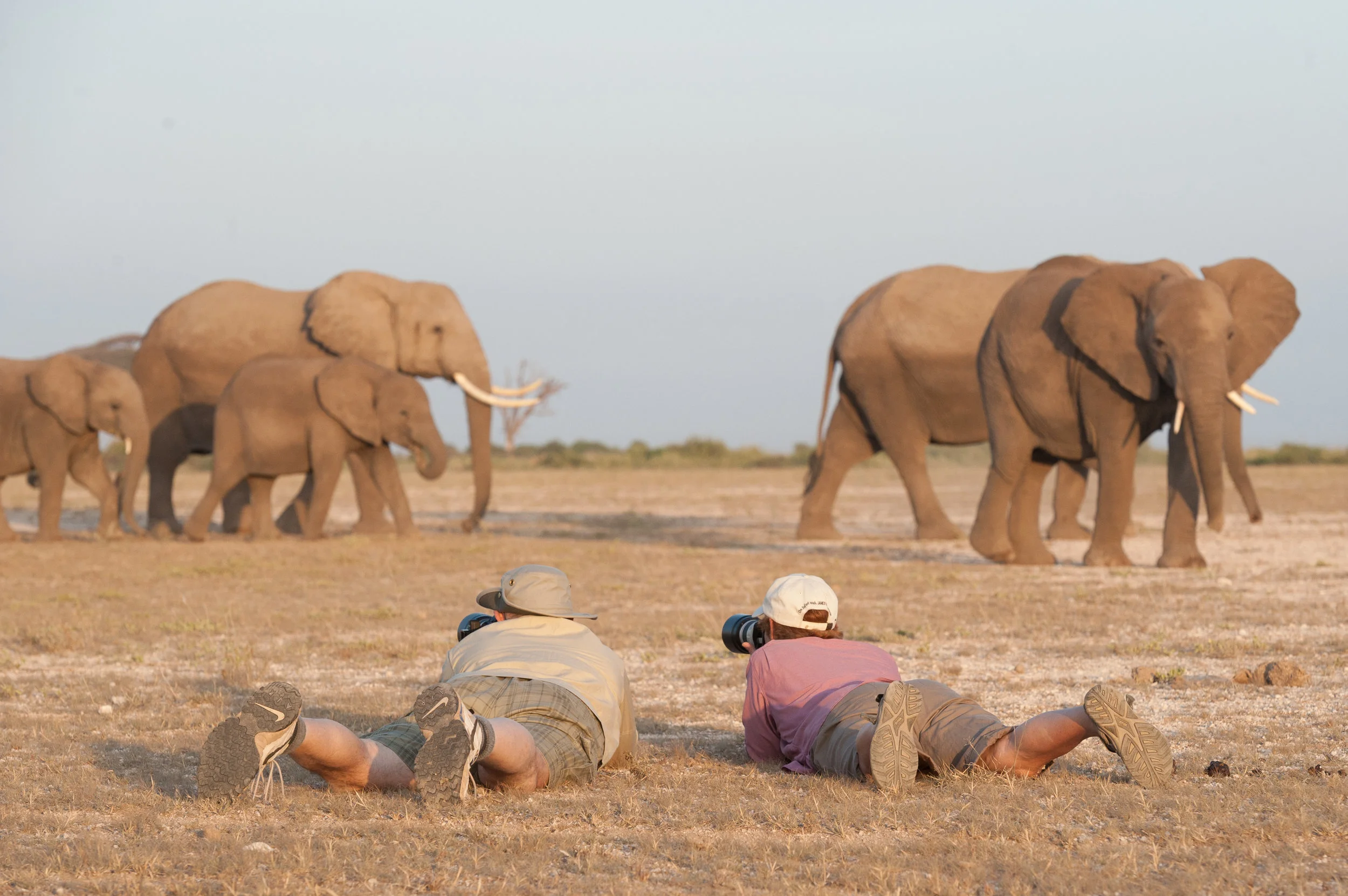 muench-workshops-safari.jpg