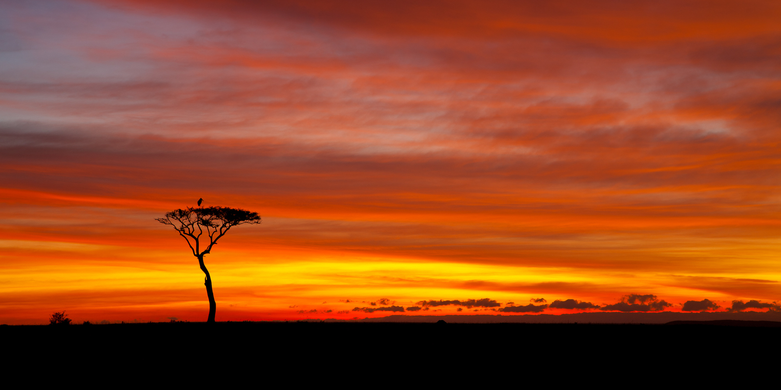 muench-workshops-safari.jpg