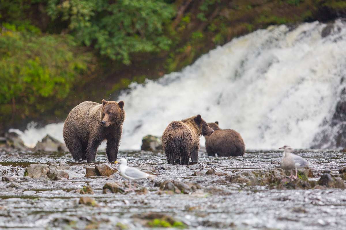 muench-workshops-alaskan-story.jpg