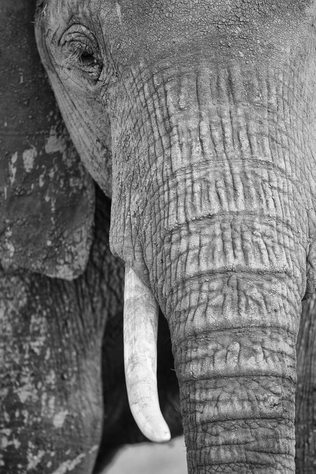 muench-workshops-kenya-safari-1.jpg