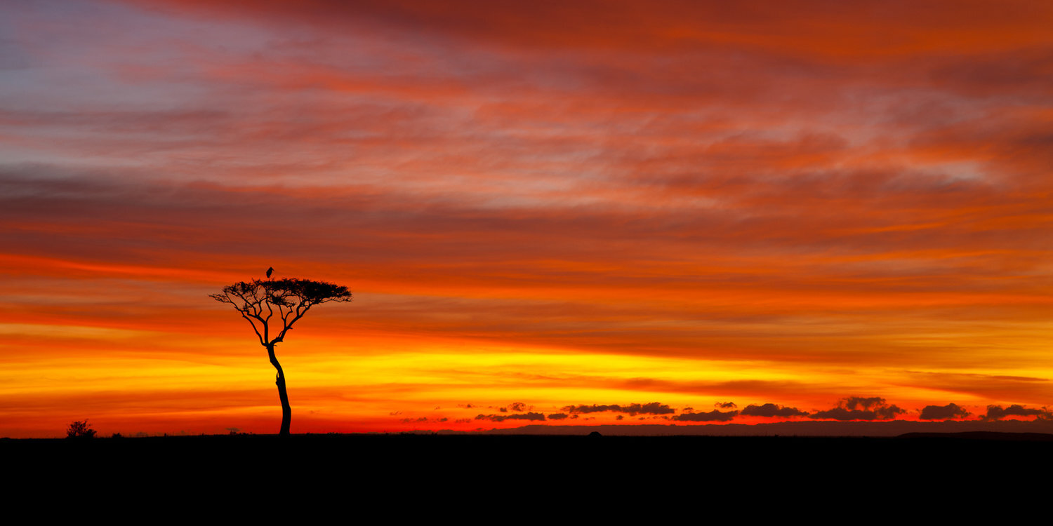 muench-workshops-kenya-safari.jpg