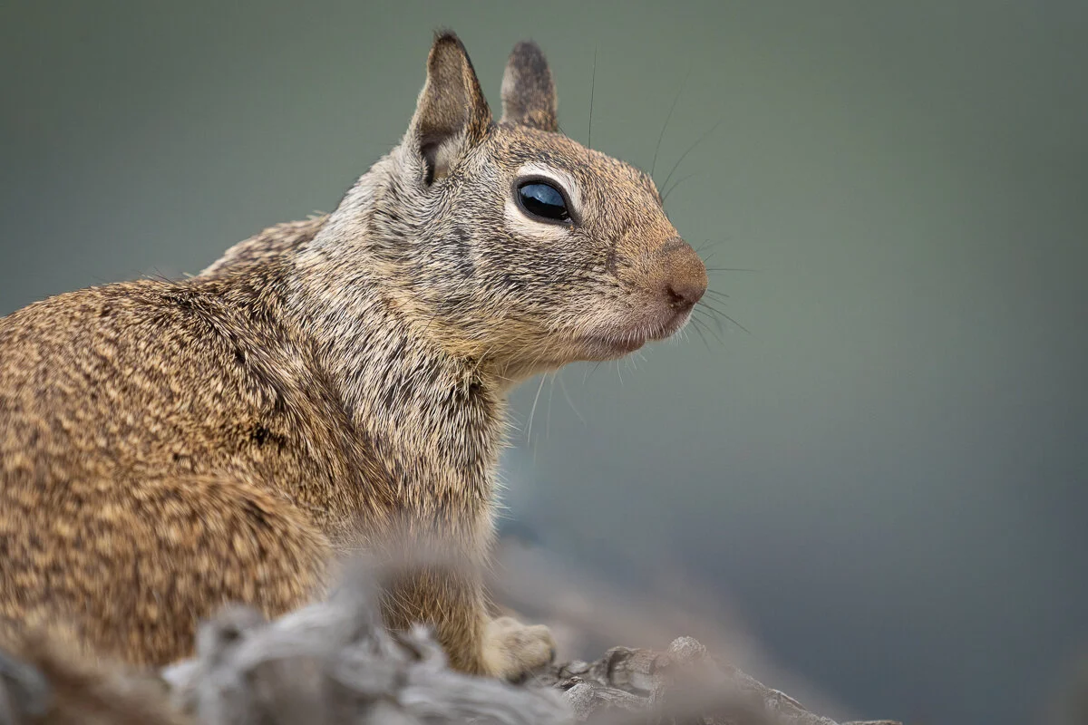 Growing Your Photography