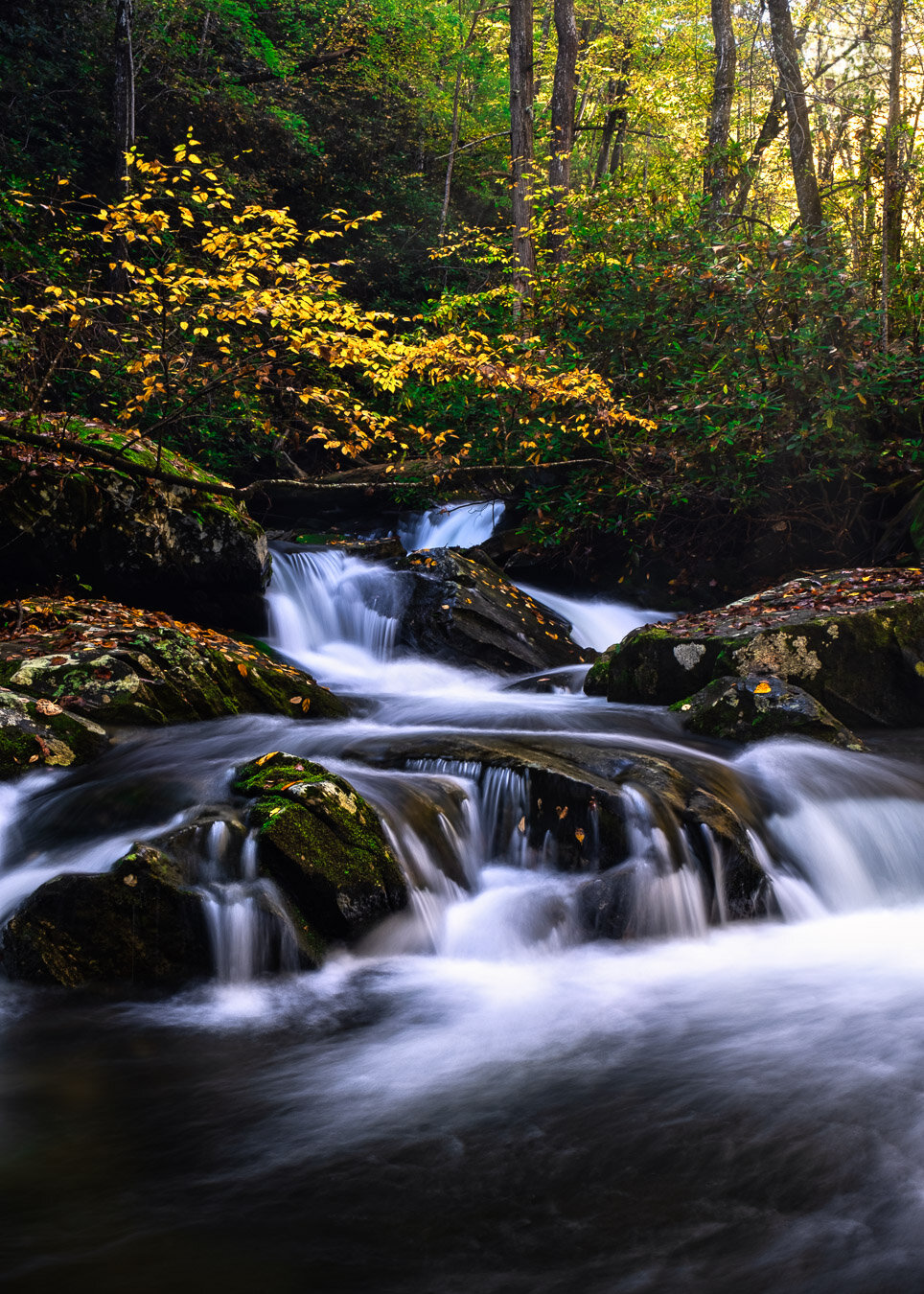 5 Tips for Better Waterfall Photography 2 2020-10-13-Falls-Catawba-135-Edit-Instagram Vertical.jpg