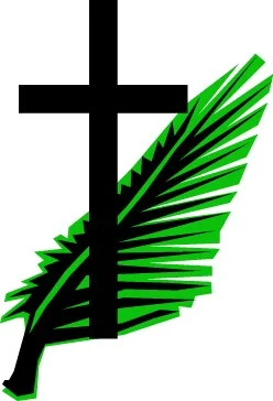 palms.jpg