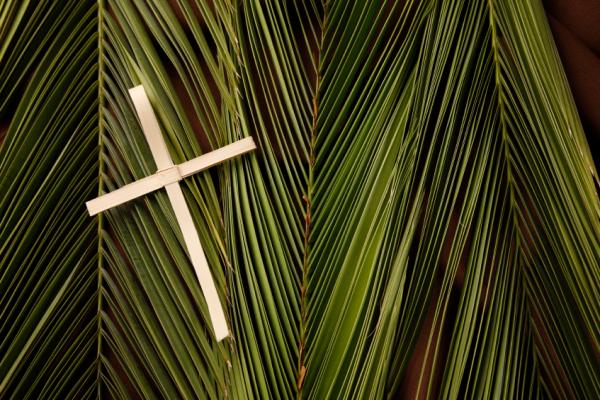 palm_sunday.jpg