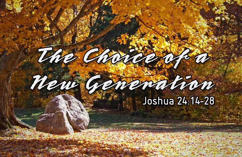 joshua_rock_under_tree.jpg