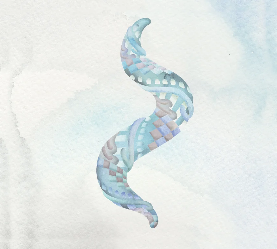 Rayons album artwork