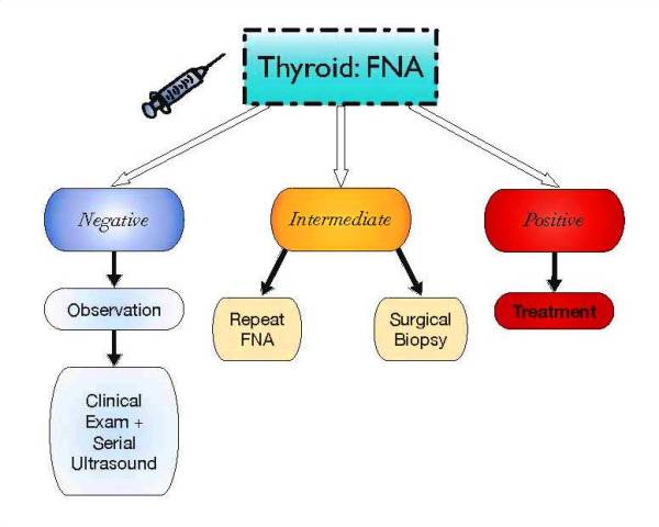thyroid fna chart
