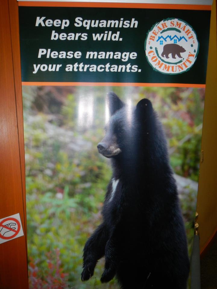  Bear warning! 