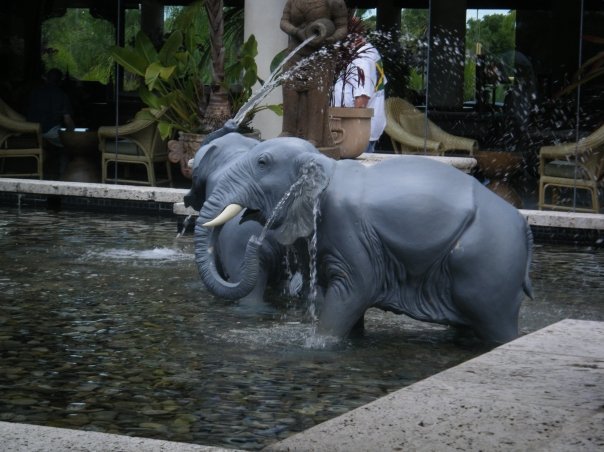  Loews had it's own elephant bathing pool...and they all have their trunks on! 