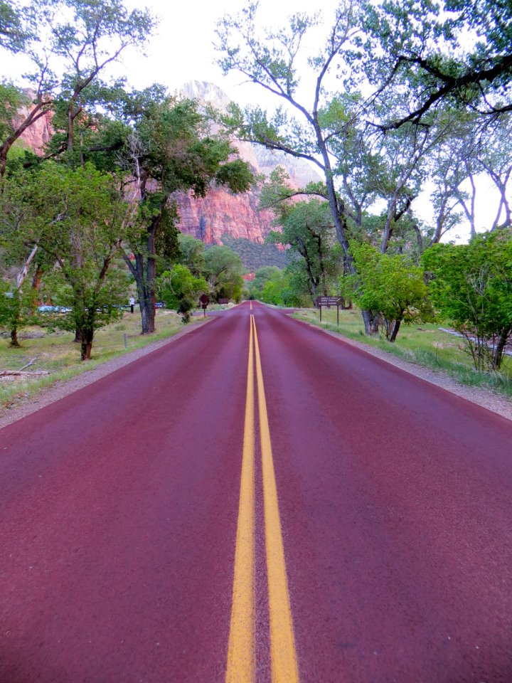  The road to Zion. 