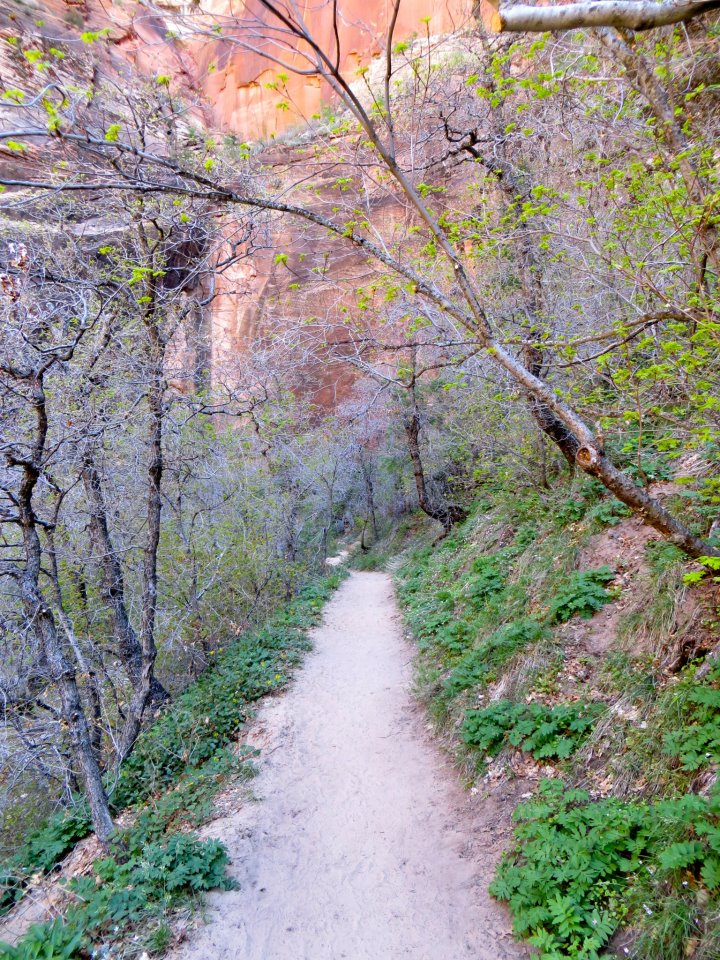  A pretty part of the trail. Any part of the trail that had shade, was extra pretty. 