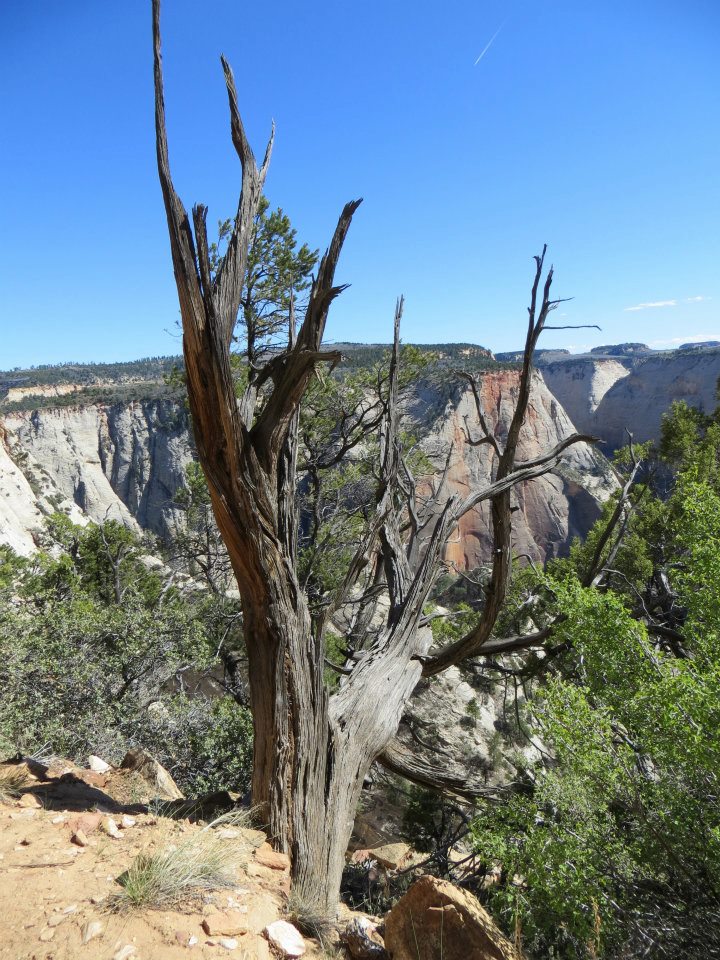  Observation Point 