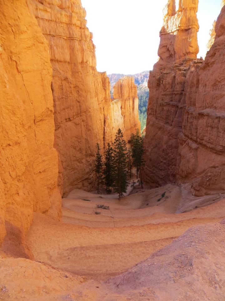  The hike started with switchbacks into the canyon. 