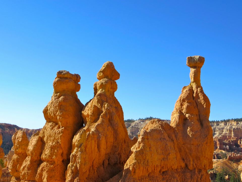  hoodoo in the morning light. 