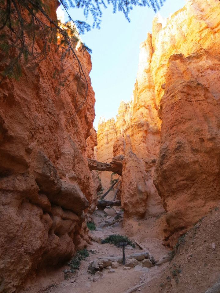 A closed trail. Lots of the trails had been blocked by fallen rocks.