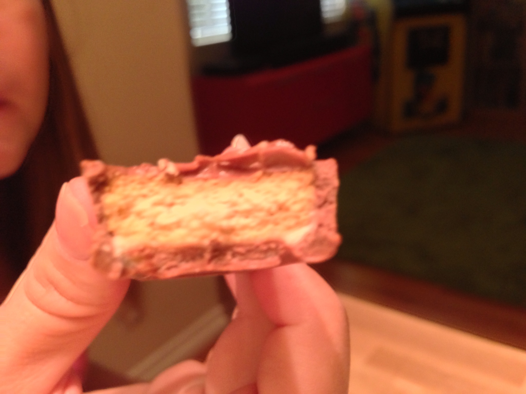 Inside a Club Biscuit