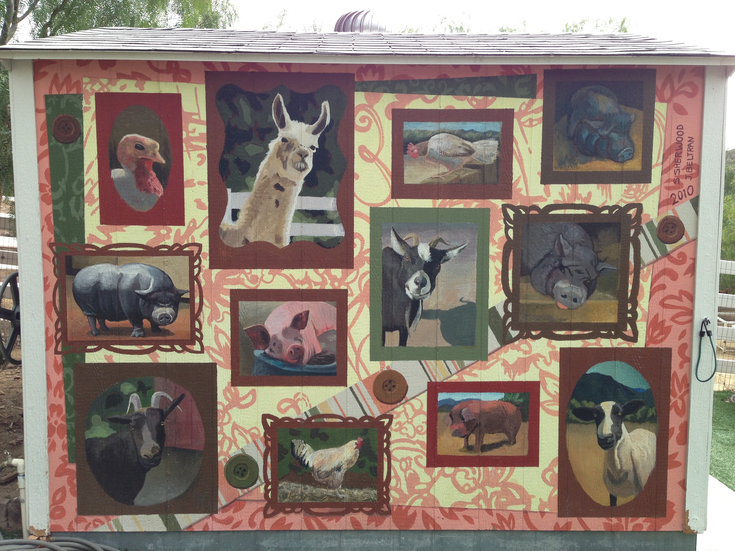  The animals of the Gentle Barn. 