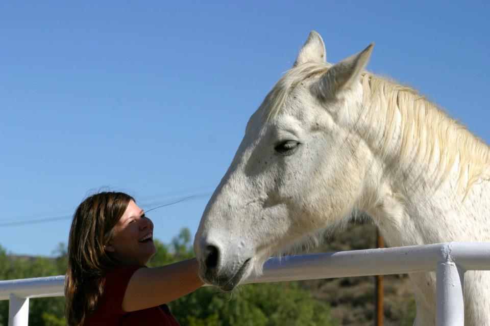  Petting another beautiful horse 