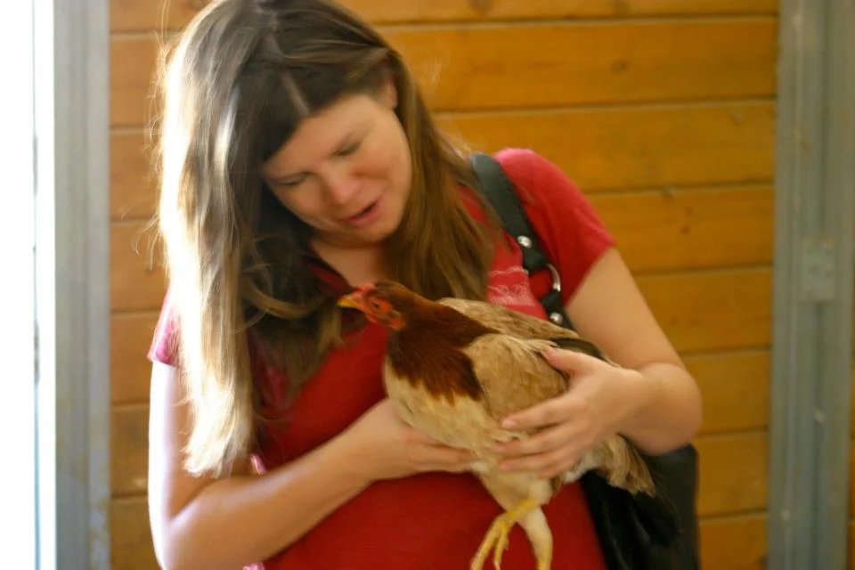 i know it's blurry, but this is the best of the bunch...i really wanted to hold a chicken, so a volunteer put Ms. Chicken into my arms. She was so fluffy, soft and sweet.