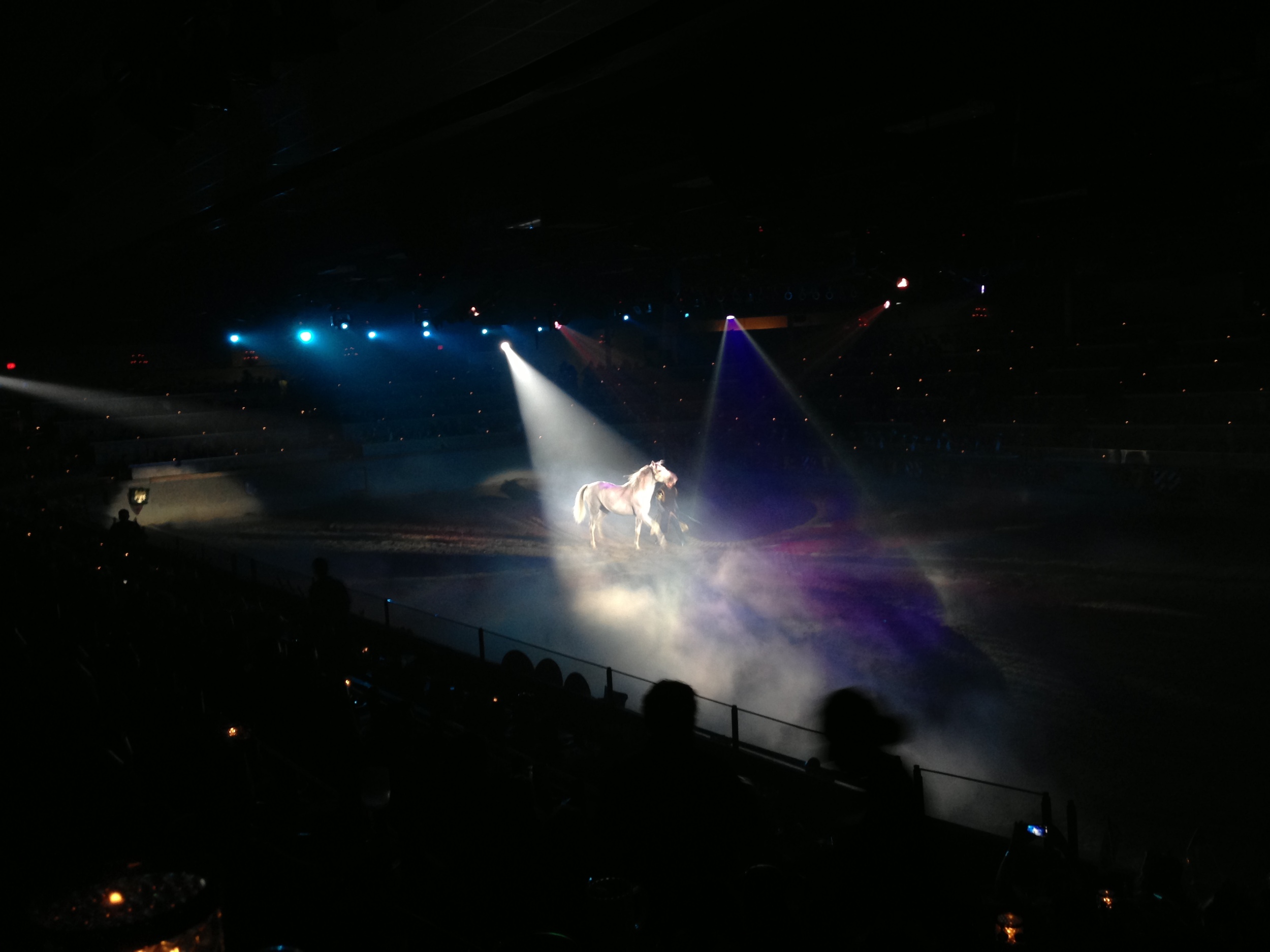  One of the best parts of the show is when a beautiful white horse runs out into the arena at the start. 