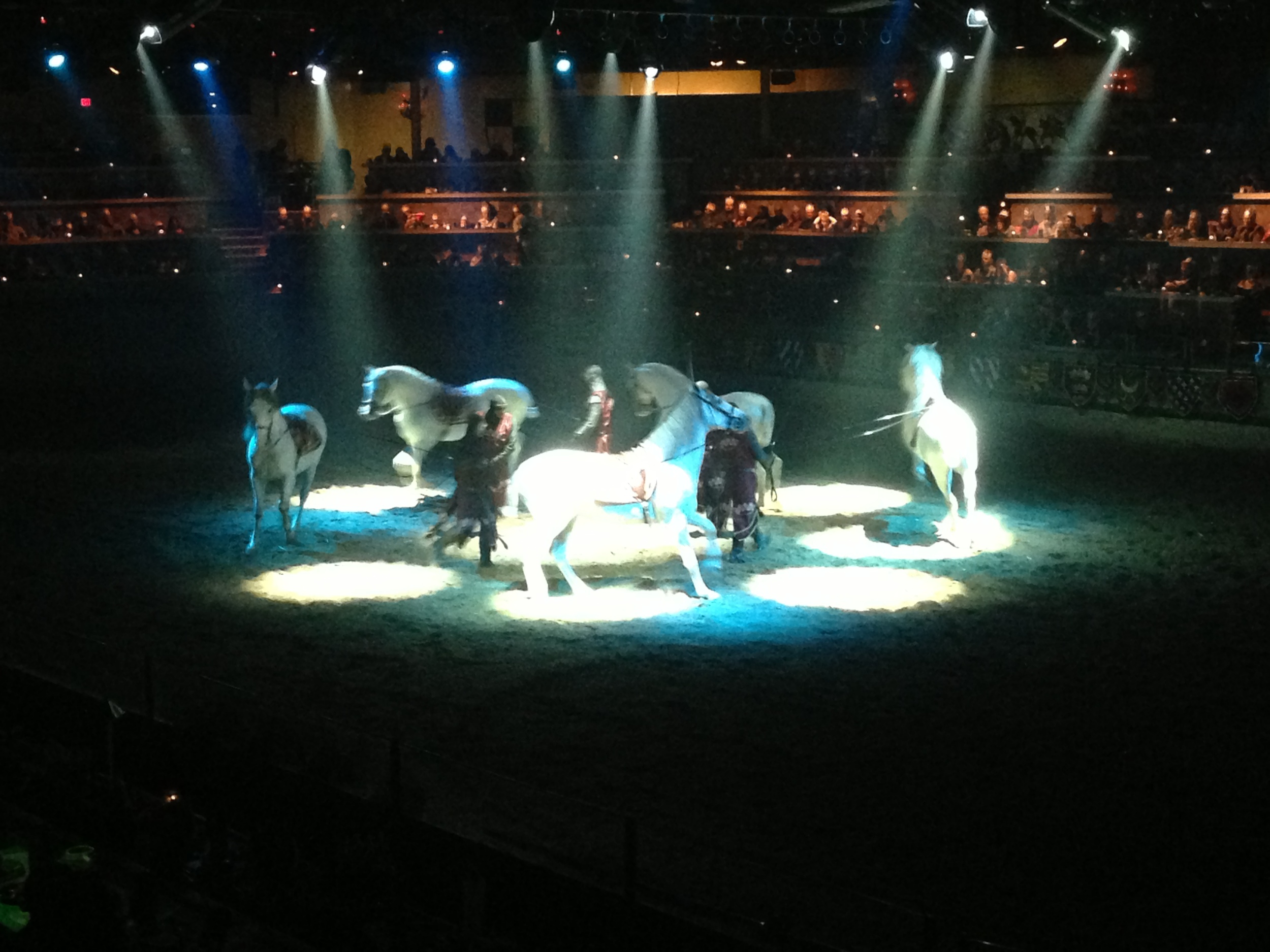  One of the better parts of the show, were the Spanish Dancing horses. 