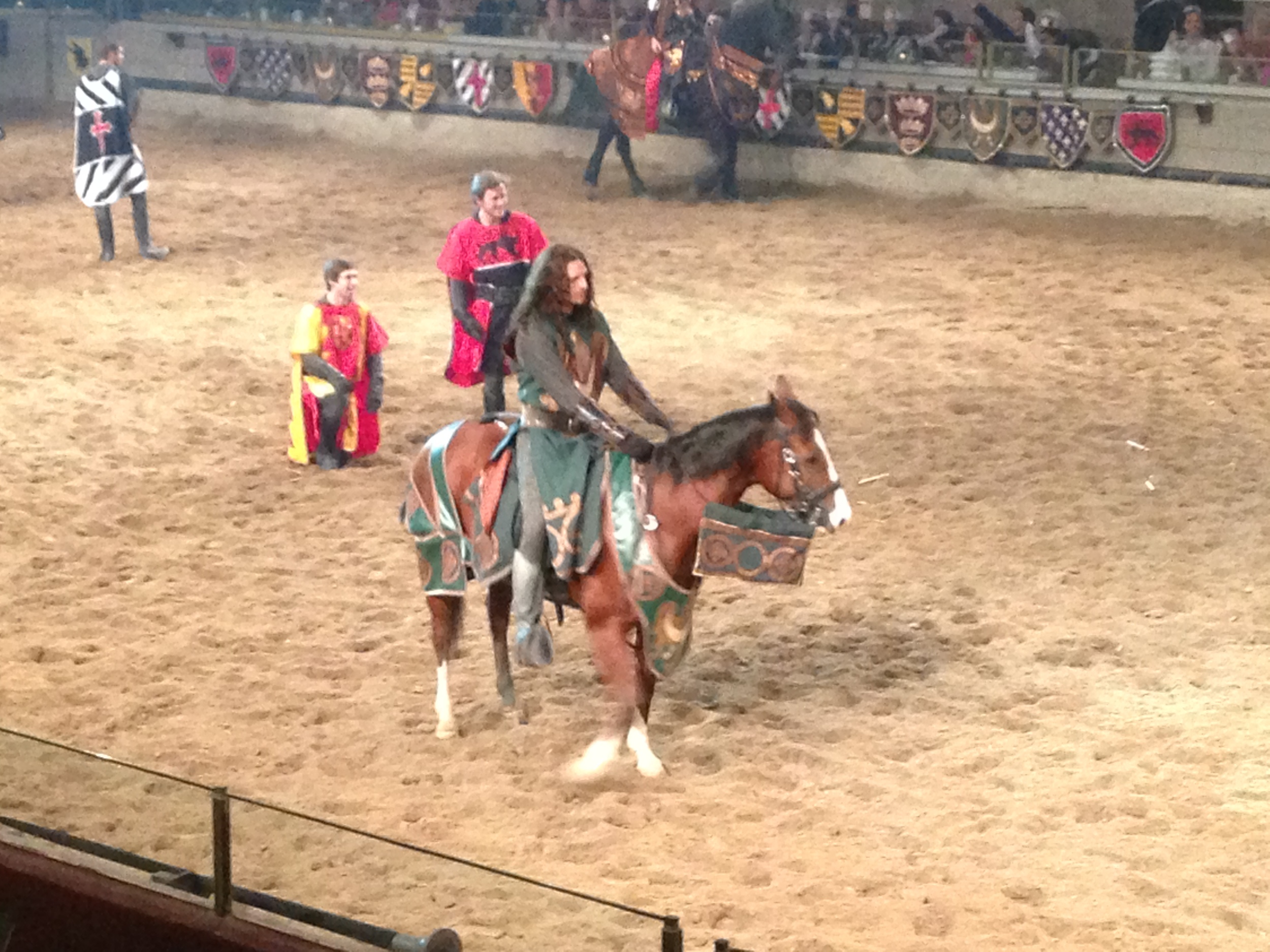  The green knight. He didn't win, but he was one of the last knights standing. 