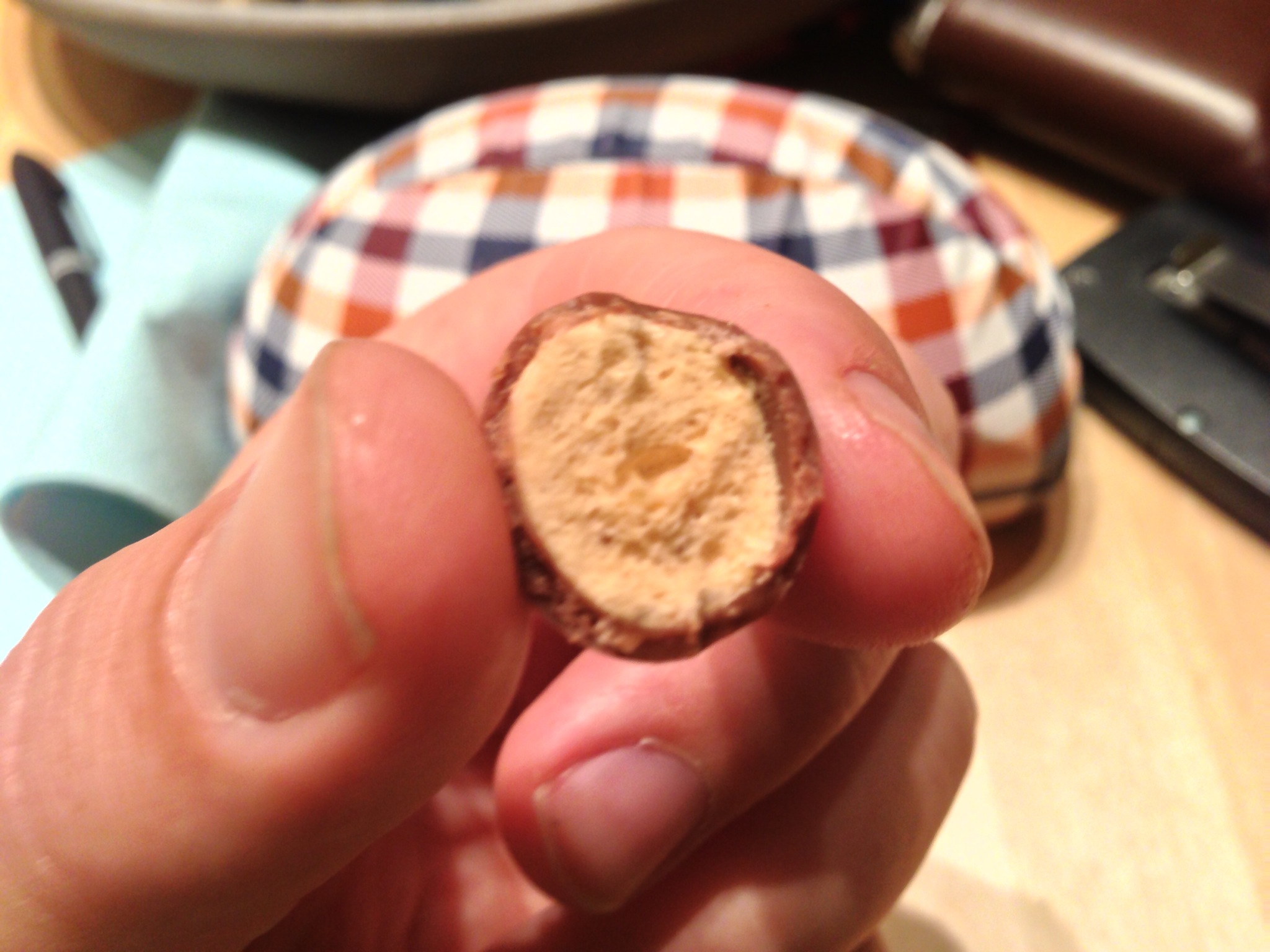 interior of a Malteser.