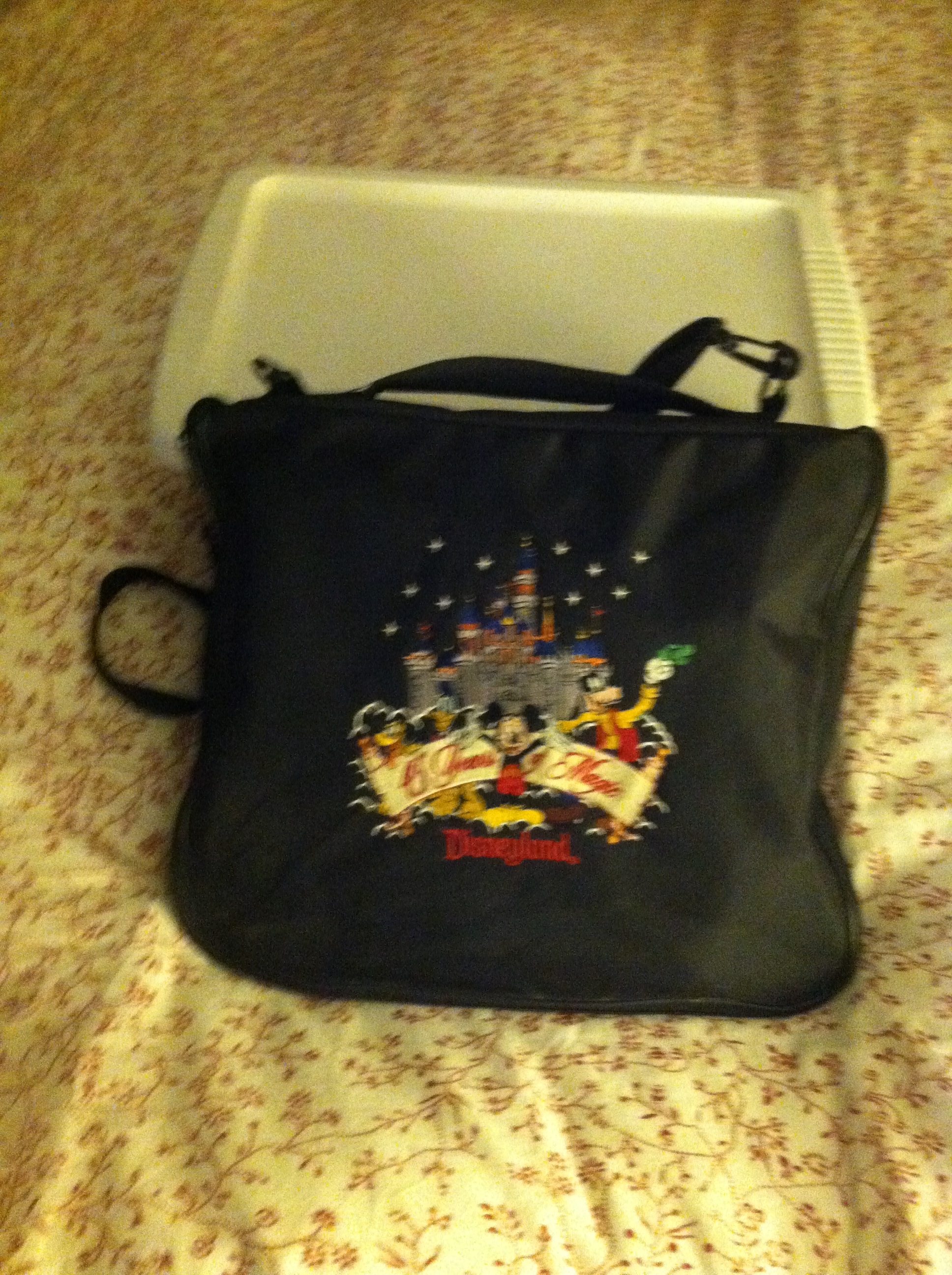  My pin bag and a plastic container full of pins = My Shameful Past 