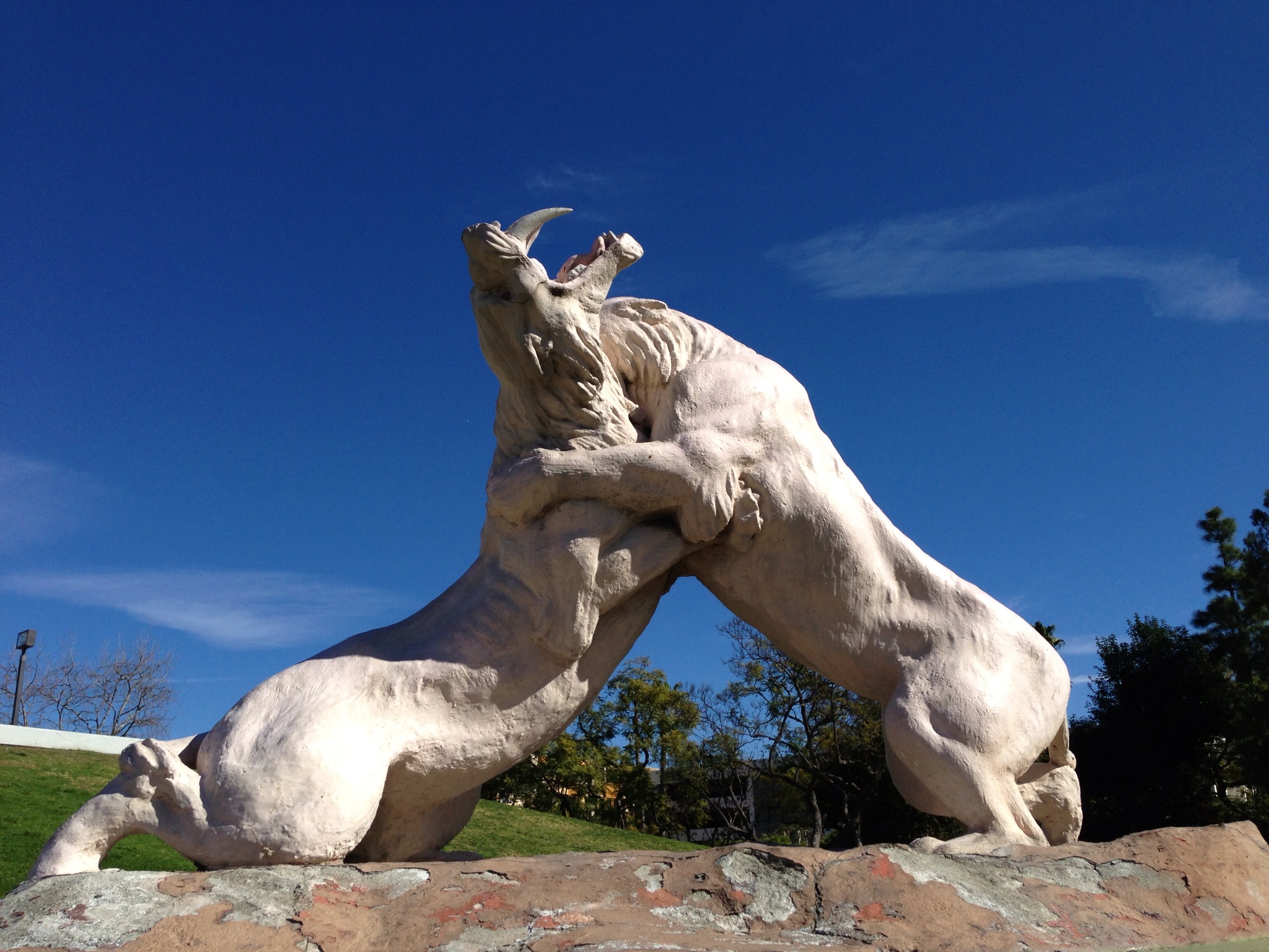  Saber Tooth Cats sculpture outside of the museum. 