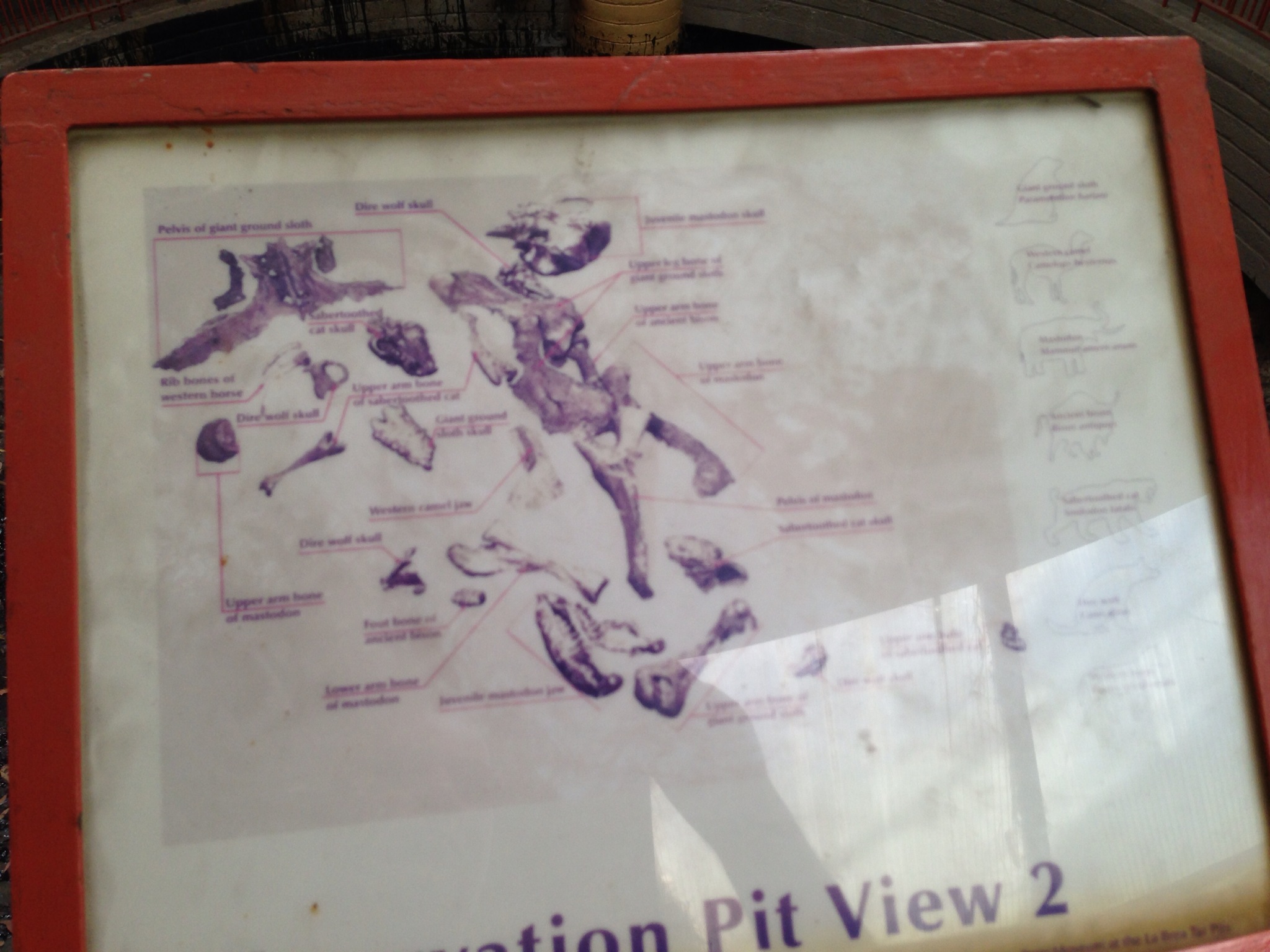  An explanation of the bones in the pit. 