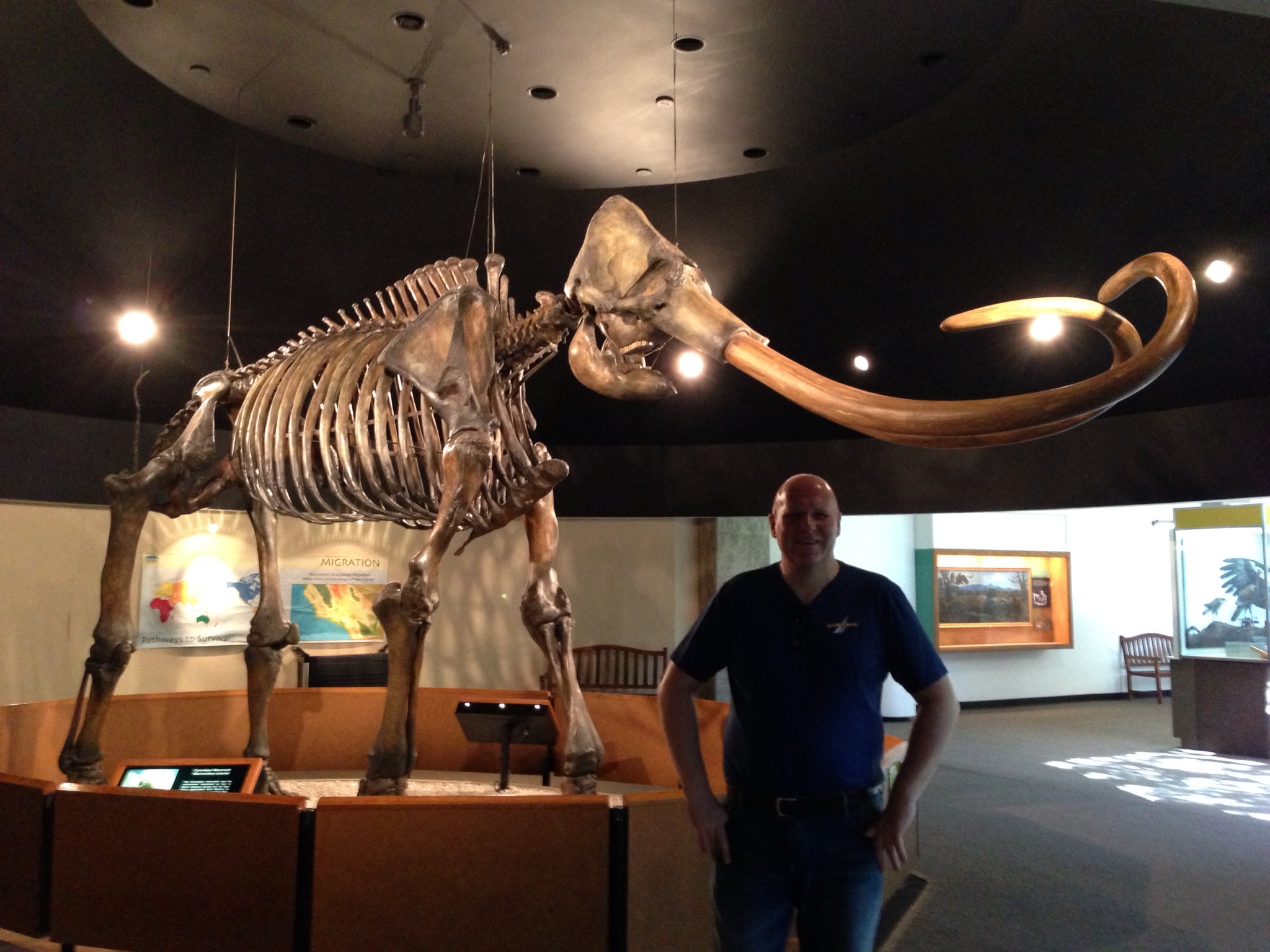  Dan with the absolutely enormous mammoth. It's well..mammoth! 