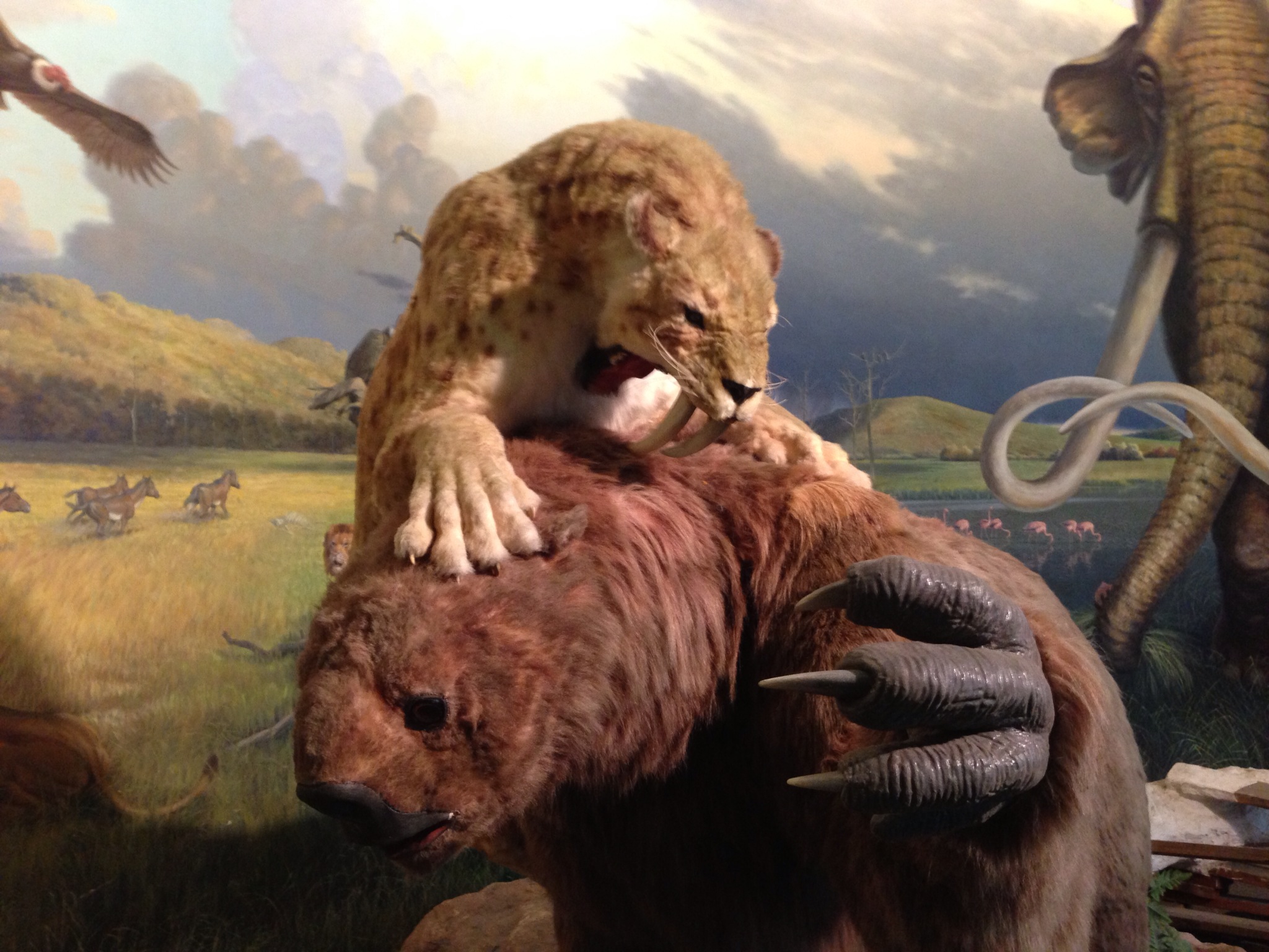  Sloth vs. Saber Tooth Cat 