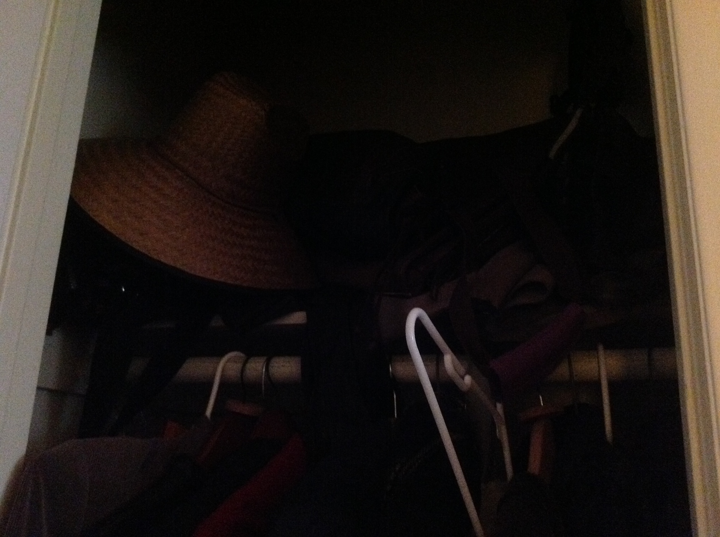  Coat Closet- sorry so dark, it's the best that I could get. 