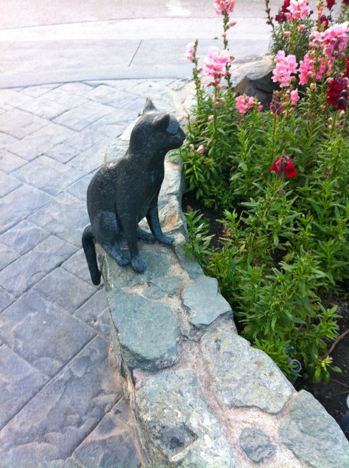  ​A cute cat sculpture in a flower bed at the base of the canyon. 