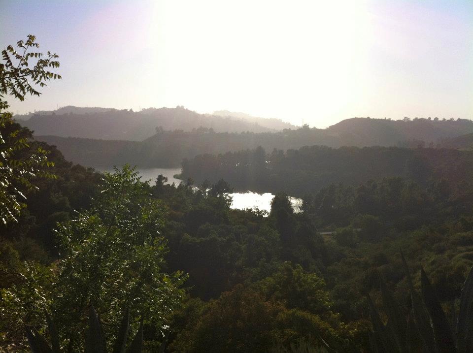  ​The entrance to the lake is right near Moby's home! This is the first time that I have even heard about a big lake in the Hollywood Hills. It's closed off to the public, unfortunately. 