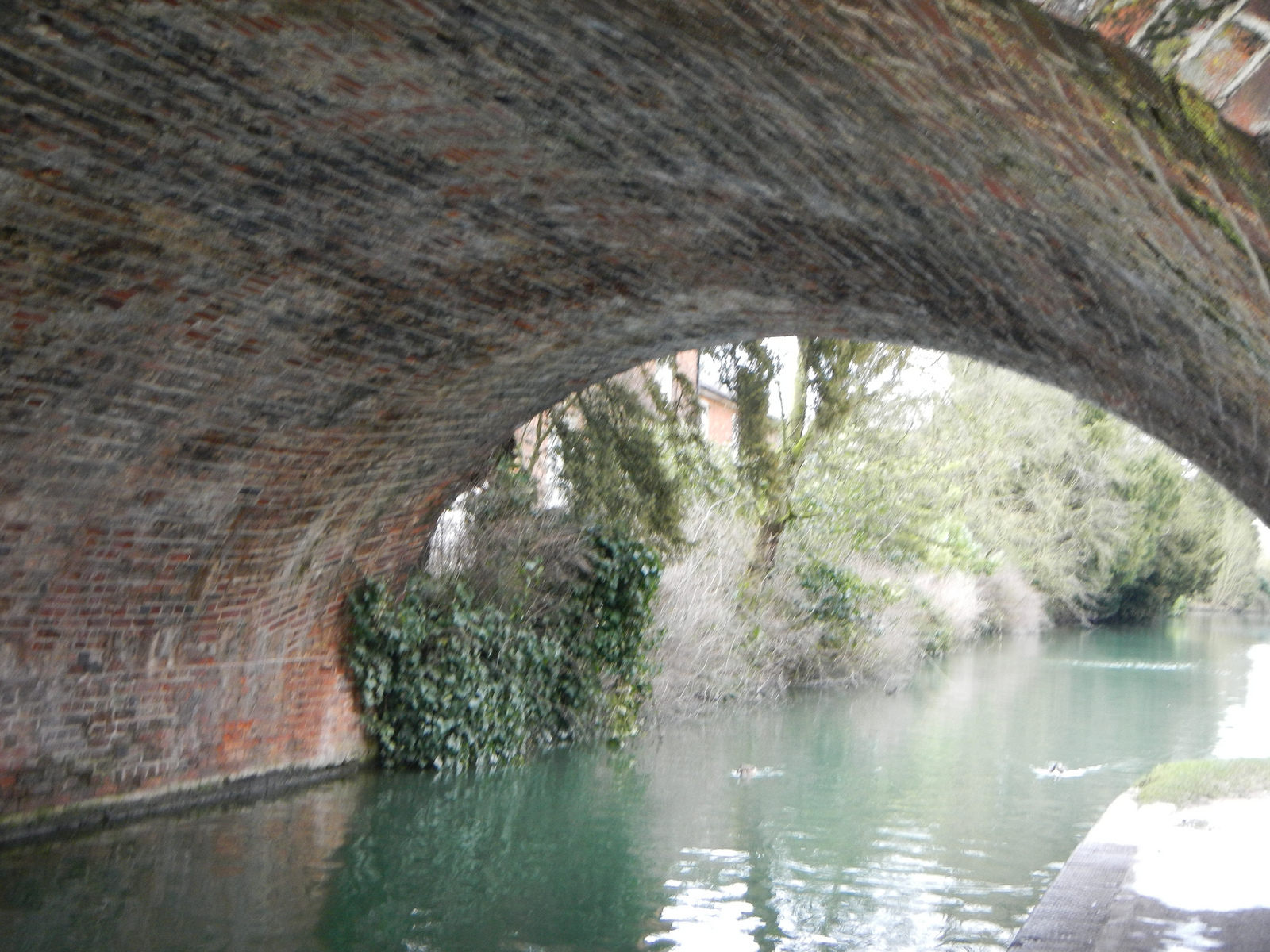  ​Underneath the bridge 