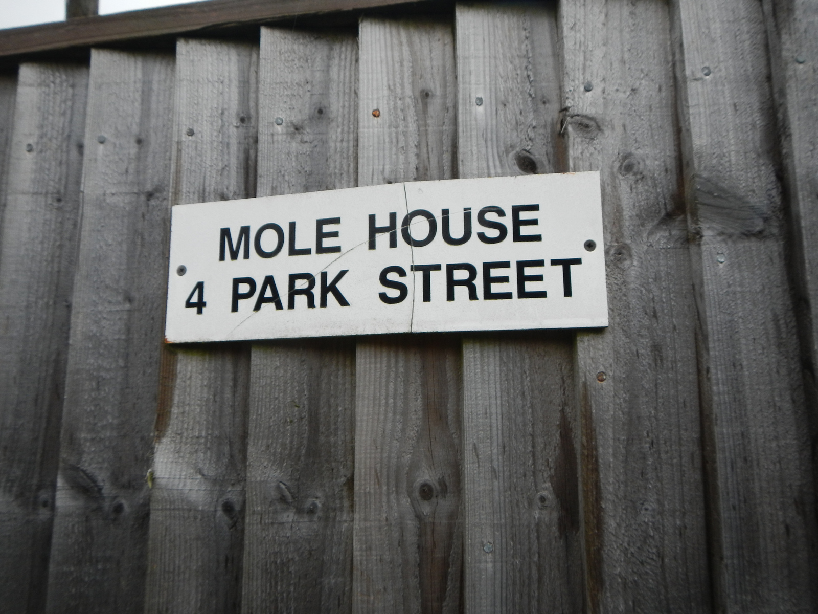  ​i want to live in "Mole House". I also learned all about mole holes on this trip. 