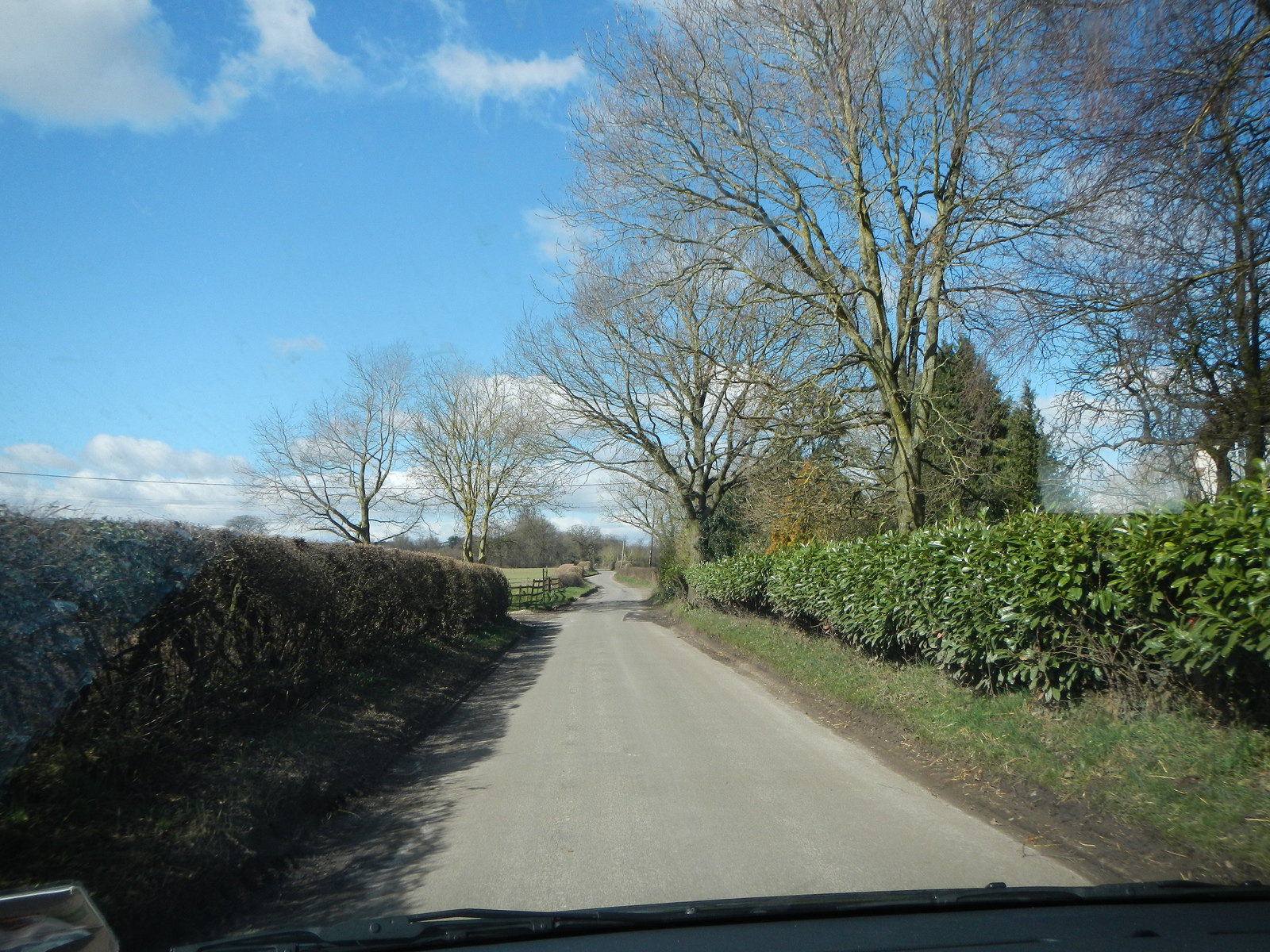  Country Roads.​ i love the hedges. 