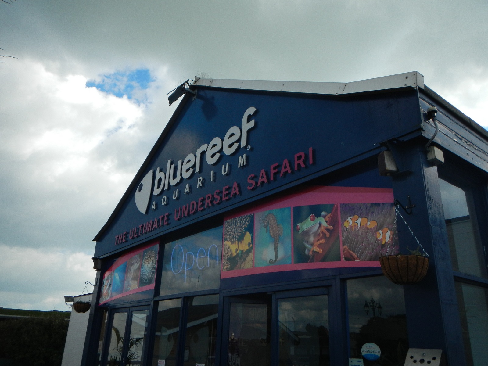  ​The Blue Reef Aquarium. 