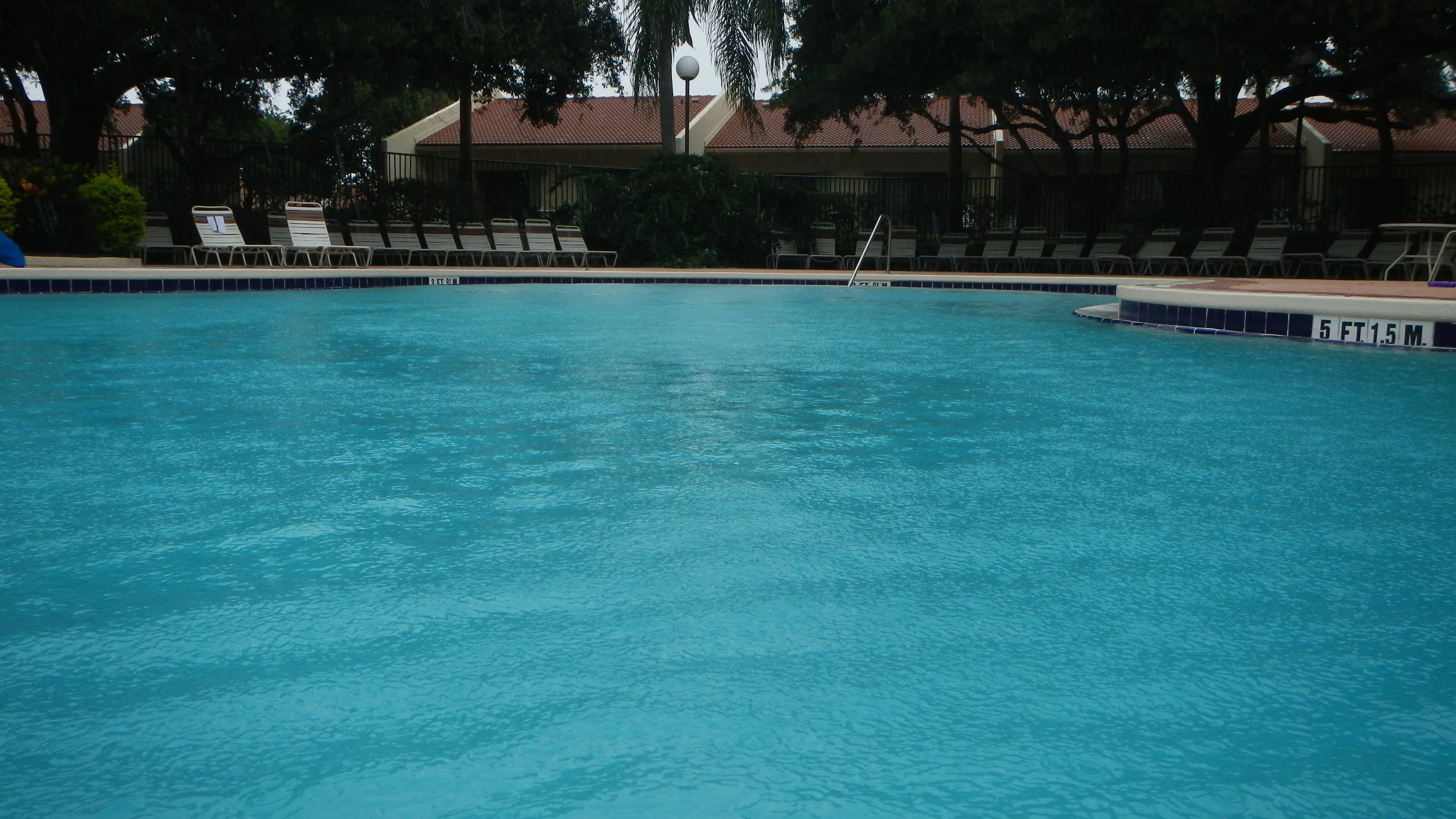 DSCN8207.jpg
