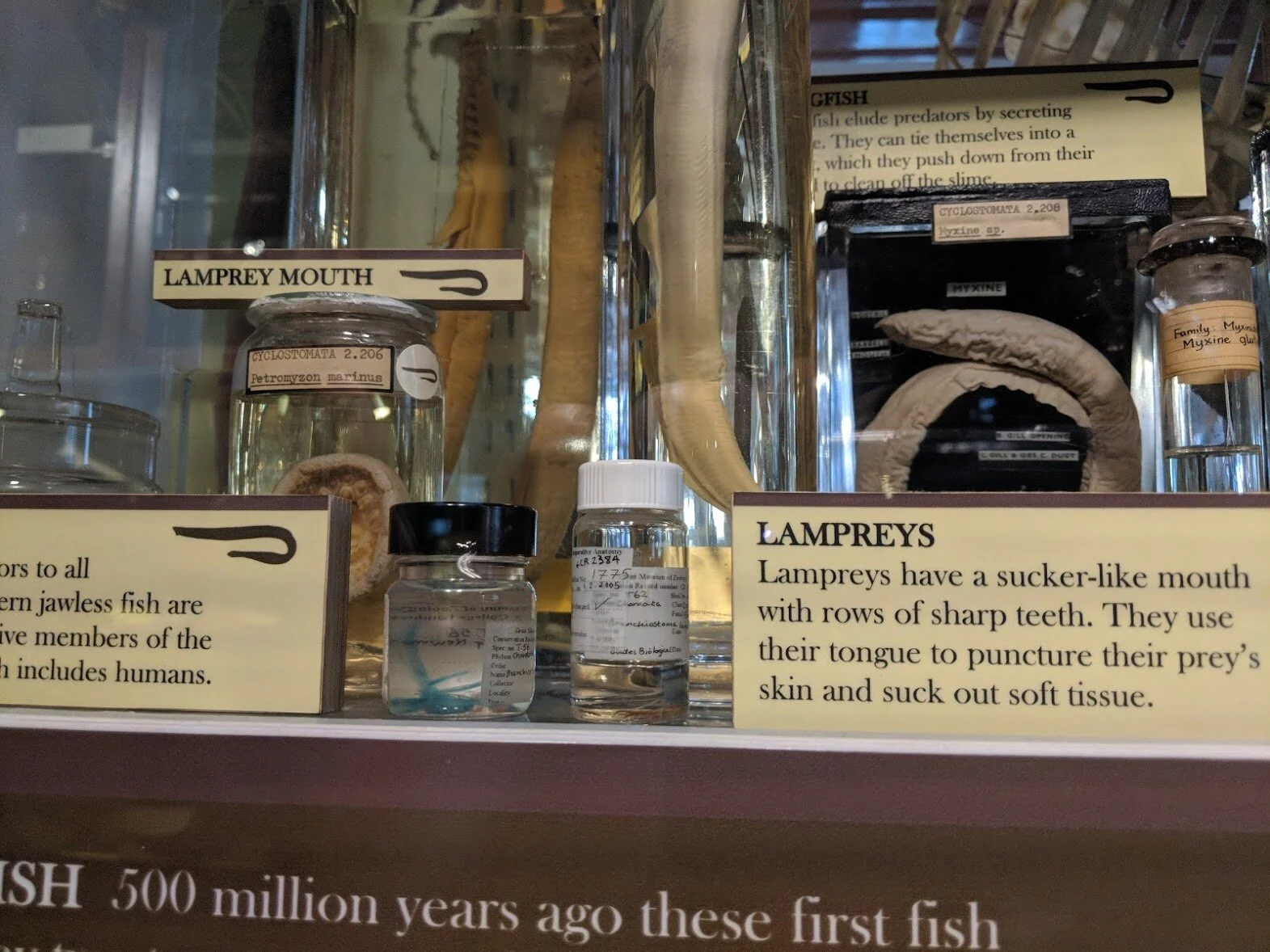 MVIMG_20180604_132010.jpg