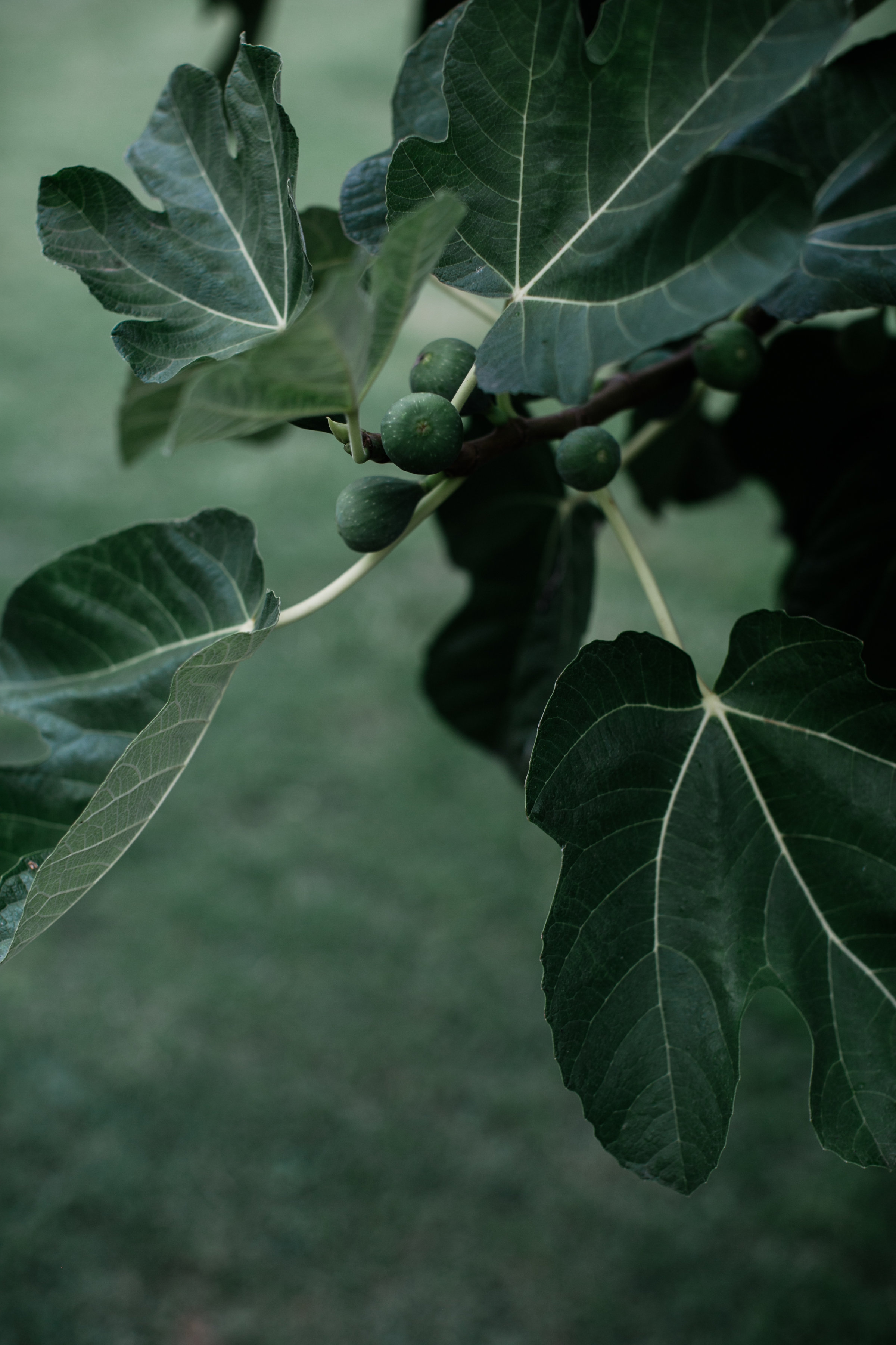 0C5A0733-Edit.jpg