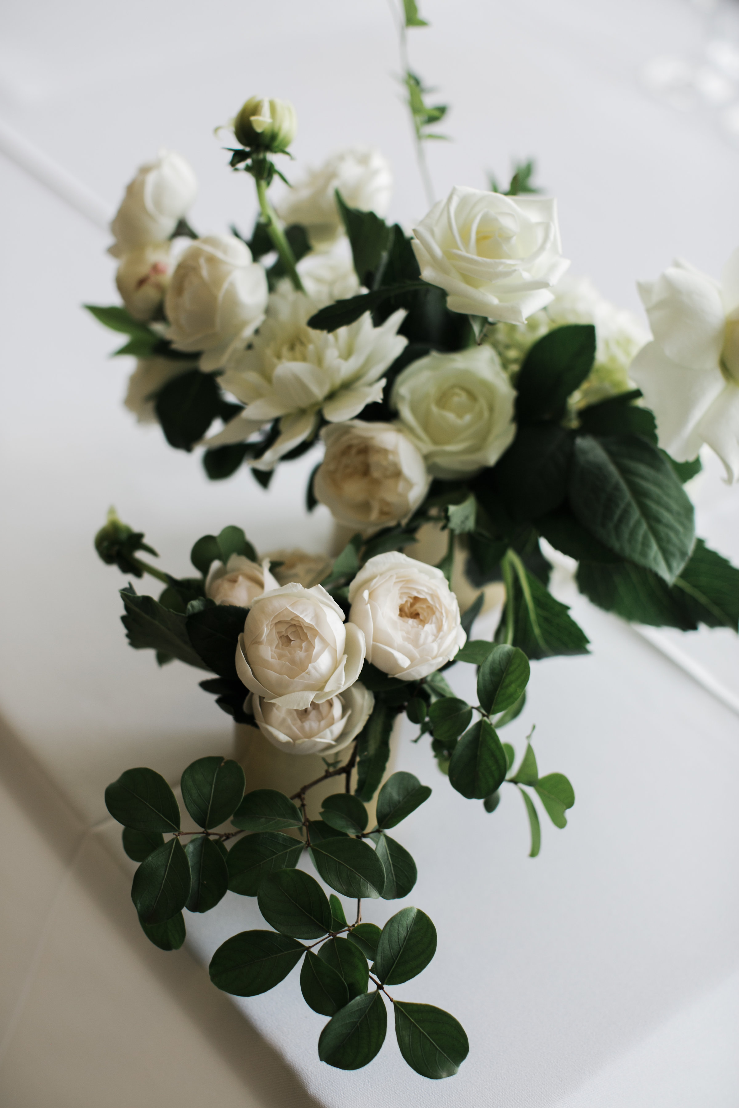 0C5A3413-Edit-2.jpg
