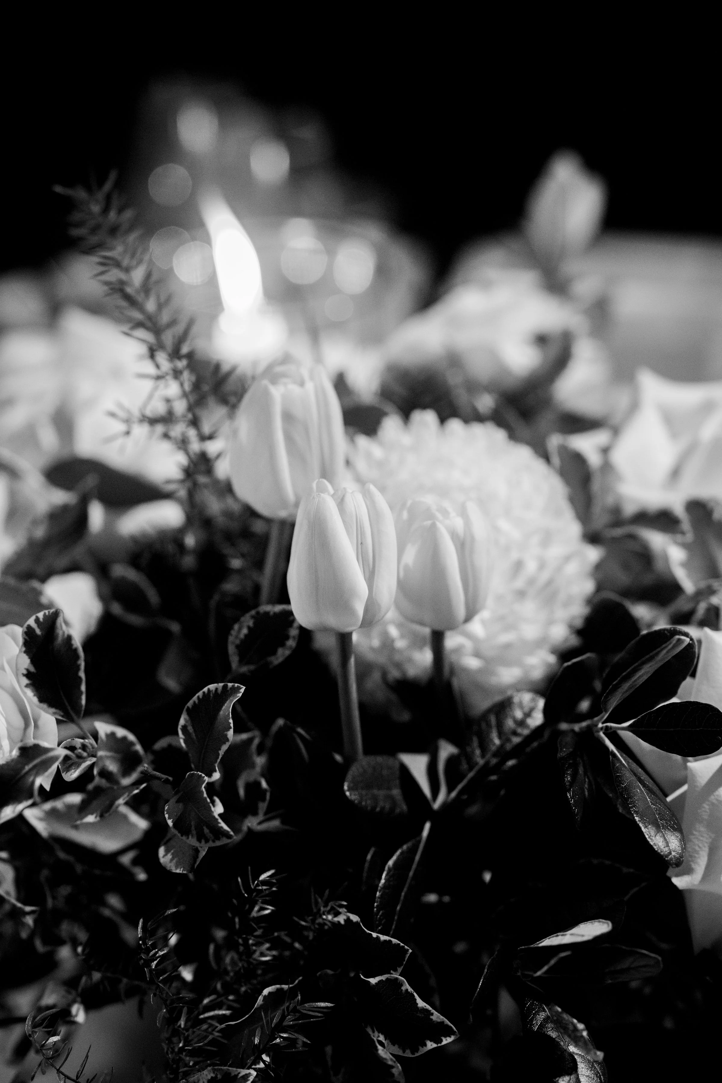 Donella+Daniel_Wedding_BekSmith-1163.jpg