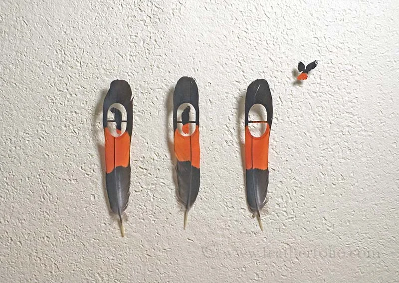 RTB Cockatoo M.jpg