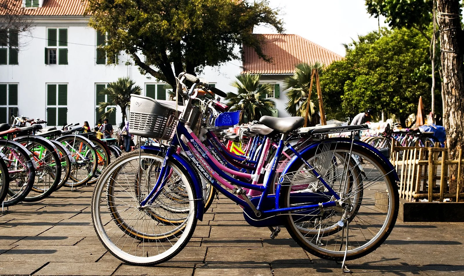 20 bikes.jpg